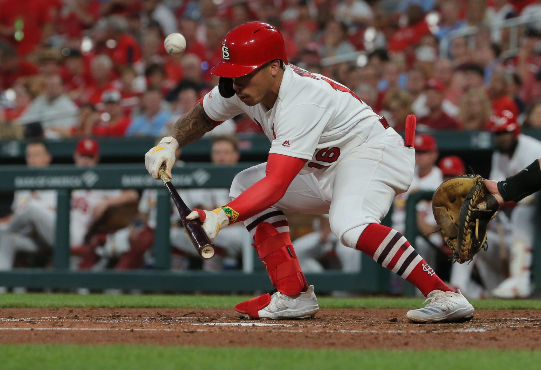 St. Louis Cardinals V San Francisco Giants